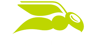 Logo de Hornetsecurity - Entreprise allemande  🇩🇪